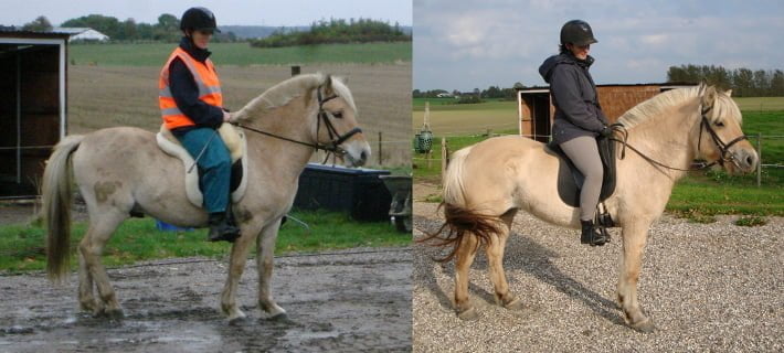 Samme rytter på to heste af forskellig højde, dog ser hestene næsten lige store ud