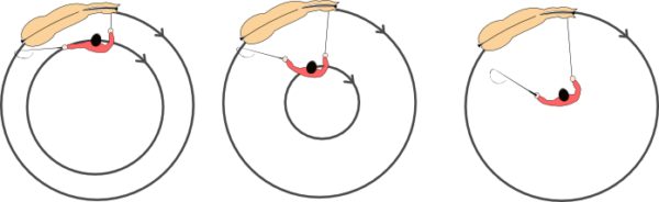 Tre illustrationer af longering set fra oven hvor træneren gradvis bevæger sig mere ind mod midten, mens hest bliver ude på volten.