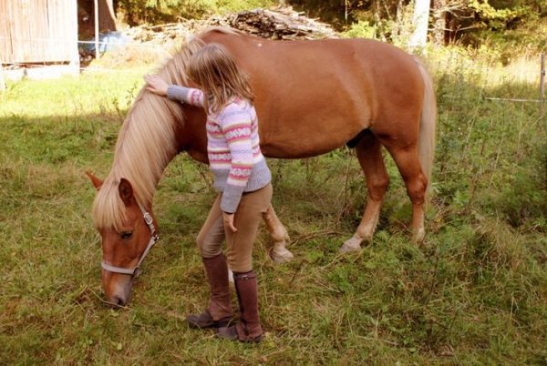 Pige der klapper en hest.